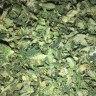 Cheese Berries feminised Ganja Seeds
