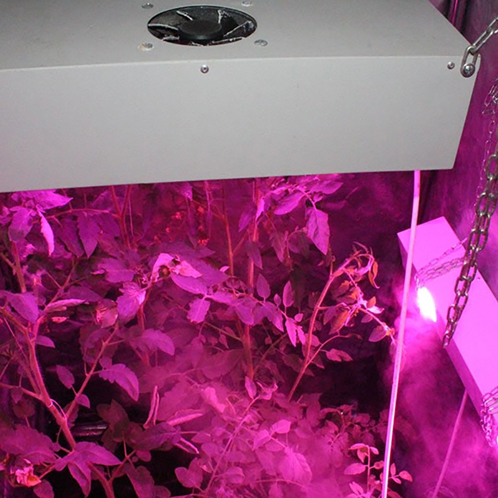 Гроубокс в сборе Джин 1400х1000х2000 + Гагарин 3 с доставкой