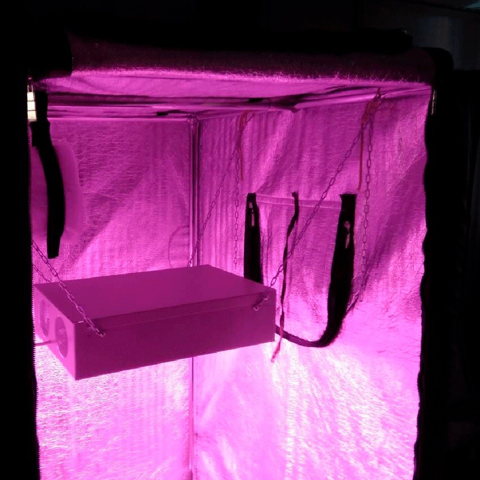 Гроубокс в сборе Джин 600х600х1400 + Гагарин 1 для конопли