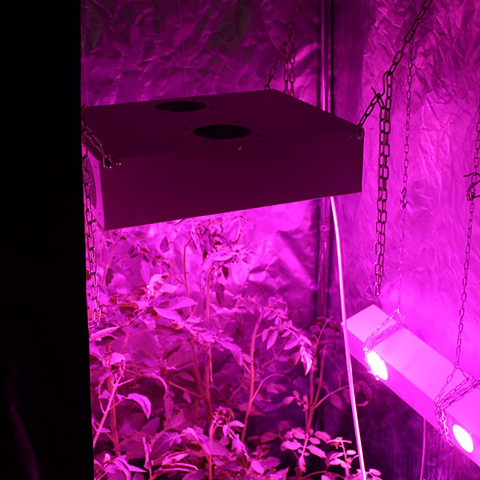 Гроубокс в сборе Джин 800х800х1600 + Гагарин 1 заказать