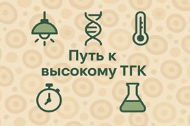Как вырастить коноплю с максимальным ТГК и не сойти с ума