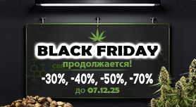 Черная пятница продлена!
