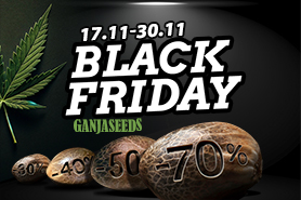 ЧЕРНАЯ ПЯТНИЦА 2025 — скидки до 70%!